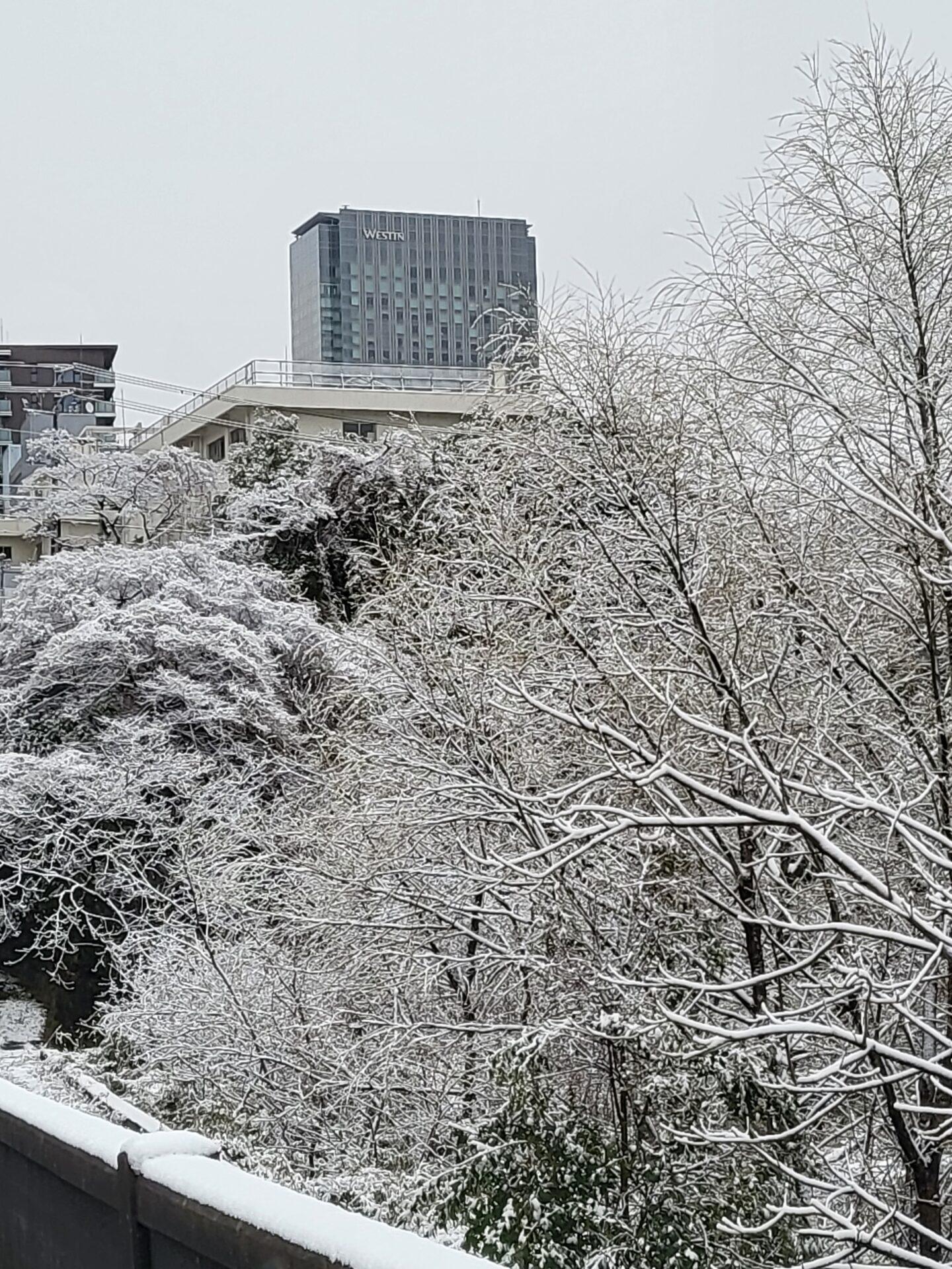 令和6年4月　挨拶