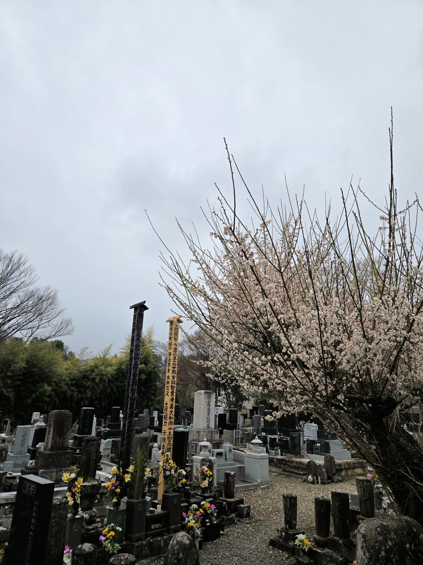 令和7年2月 挨拶